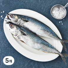 해맑음 안동식 간고등어 (냉장), 5개, 500g