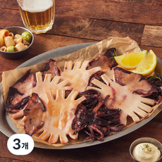 반건조 오징어 3미, 3개, 200g