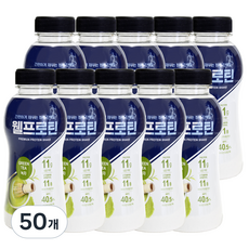 웰프로틴 녹차, 50개, 40g