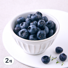 H&B아시아 칠레산 블루베리, 2개, 125g