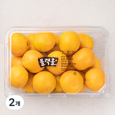 블랙홀 제주 청년 농부 감귤, 1.2kg(2S~M), 2개