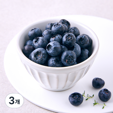H&B아시아 칠레산 블루베리, 3개, 125g