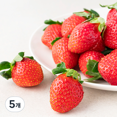 산지직송 예담 설향딸기, 500g(특), 5개