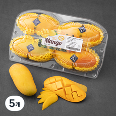 더달 알록달록 태국산 마하차녹망고, 1.12kg, 5개