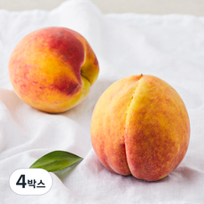 아주마 산지직송 영동 하우스 복숭아, 500g(2개입), 4박스