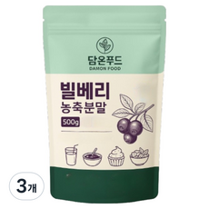 담온푸드 빌베리 농축 분말, 500g, 3개