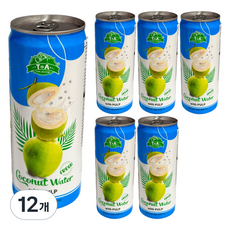 T&A 椰子水與 Natad Coco, 12個, 325ml