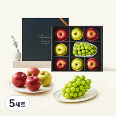 당찬 사과 샤인머스켓 혼합 선물세트, 2.54kg, 5세트