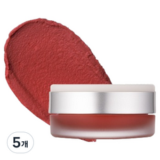 하트퍼센트 도트 온 무드 커스텀 립앤치크 싱글, M09더스티로즈, 5개