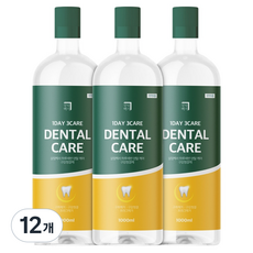 살림백서 하루세번 덴탈케어 구강 청결제, 12개, 1L