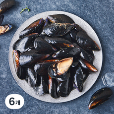 아라보감 산지직송 생물 홍합 (냉장), 6개, 1kg