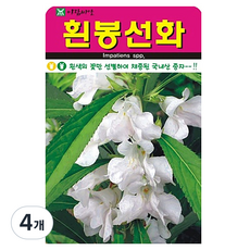 아람종묘 흰봉선화 꽃 씨앗, 4개