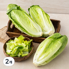 국내산 로메인, 1kg, 2개