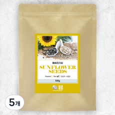 견과공장 중국산 해바라기씨, 500g, 5개