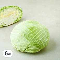 무안 양배추, 1.2kg, 6개, 1개입