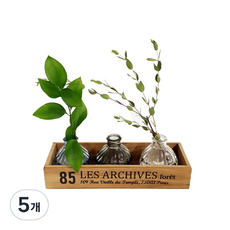 포헤트 자딘 우드 박스, 브라운, 5개