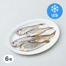 제주 참조기 5미 (냉동), 6개, 300g