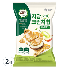 뉴케어당플랜 저당 안심 크런치칩 어니언맛, 40g, 2개