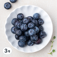 칠레산 블루베리, 3개, 125g
