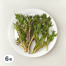 국내산 눈개승마 삼나물, 6개, 150g