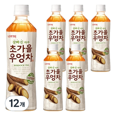 롯데칠성음료 잘빠진하루 초가을우엉차, 500ml, 12개