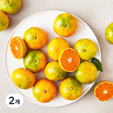 당도선별 11brix 감귤, 1.5kg, 2개
