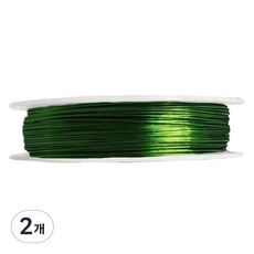 데이소이 컬러풀 공예 철사 0.3mm x 50m, 그린, 2개