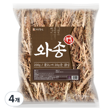 건강중심 건 와송, 200g, 4개