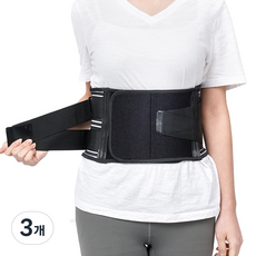 바디공식 여성용 바른자세 베이직 허리보호대, 3개