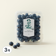문선진 농부의 무농약 신칠라 블루베리, 200g, 3개