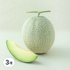 여미야미 머스크멜론, 3개, 1.6kg 이상