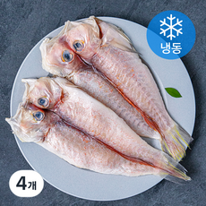 제주어부 제주용암해수 참옥돔 (냉동), 160g, 4개