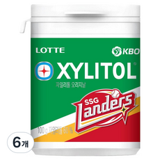 롯데자일리톨 KBO 오리지날 껌 SSG 랜더스, 100g, 6개