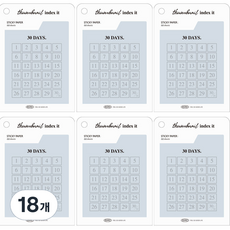 플레픽 썸네일 인덱스잇 점착메모지, 12 30일, 18개