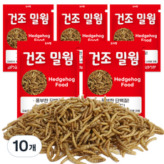 도치펫 반려동물 건조밀웜, 150g, 10개