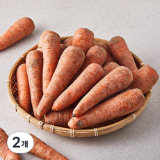 국내산 못생겨도 맛있는 당근, 5kg, 2개
