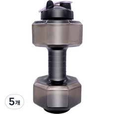 순잠 무게조절 물아령 워터 덤벨 2600ml 블랙, 5개