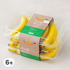 과테말라 주스용 바나나, 1.7kg, 6개