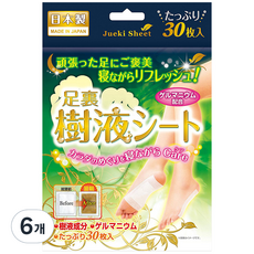 쥬에키 게르마늄 수액 풋시트, 30개입, 6개