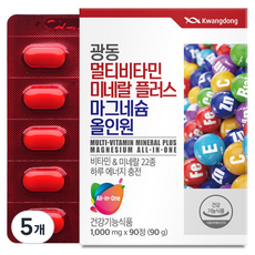 광동 멀티비타민 미네랄 플러스 마그네슘 올인원 90g, 90정, 5개