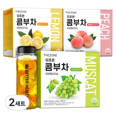 더존건강 더조은 콤부차 레몬 + 복숭아 + 샤인머스캣 + 보틀 500ml, 2세트