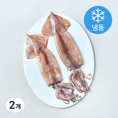 온다미 손질 통오징어 (냉동), 2개, 320g