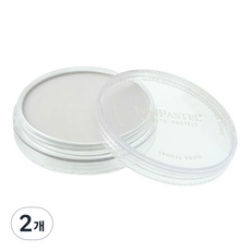 팬파스텔 신한화구 파스텔 PAYNES GREY TINT 840.8 9ml, 2개, 1색