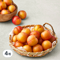 굿데이 작아도 맛있는 꼬마자두, 2kg, 4개