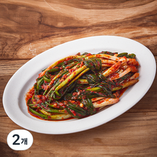 금자네 매운 실비 파김치, 500g, 2개