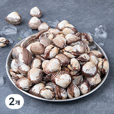 바다림 서해안에서 키운 산지직송 생물 새꼬막 (냉장), 1kg, 2개