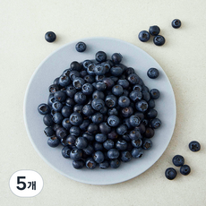 국내산 블루베리 중과, 5개, 300g