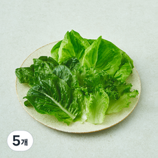 무농약 인증 스마트팜 트리플믹스 샐러드 채소, 100g, 5개, 1개입