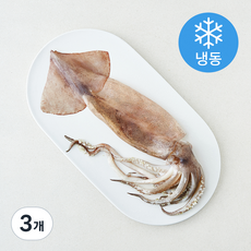 오바다 원양산 통오징어 (냉동), 3개, 240g(대)