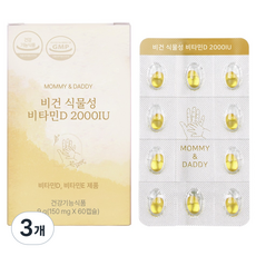 마미앤대디 비건 식물성 비타민D 2000IU 9g, 3개, 60정